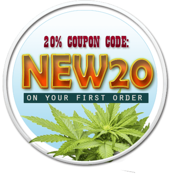 20% Off First Order
